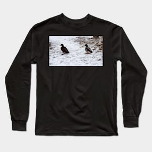 Ducks On The Winter Snow Long Sleeve T-Shirt